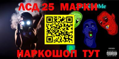 гидра Моздок