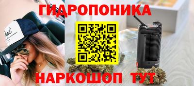хмурый Можга