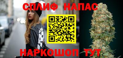 гидра Моздок