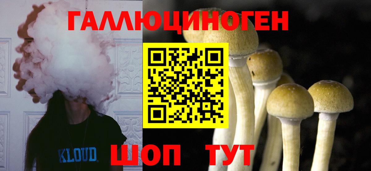 Чайковский  Псилоцибиновые грибы Psilocybe  Вход с VPN 