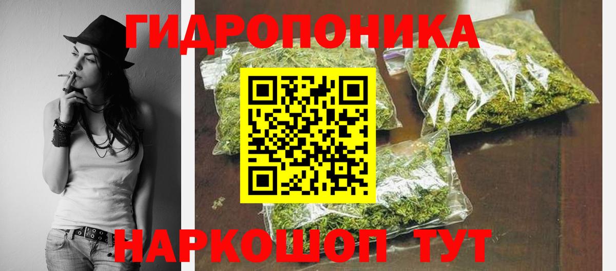 Каннабис семена  Вход с VPN  МАРИХУАНА планчик  Бошки марихуана OG Kush  Чайковский 